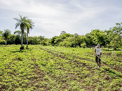 Cidade Empreendedora: 1&ordm; Seminário de Agricultura Familiar será nesta quinta-feira
