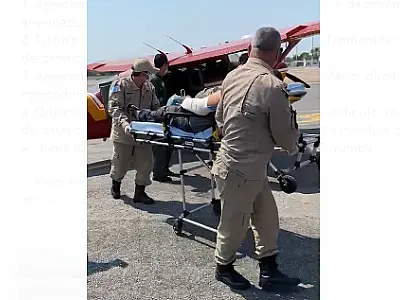 Trabalhador rural é atacado por onça no Pantanal