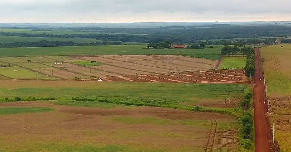 Agropecuária de MS conquista 1&ordm; lugar em índice de desenvolvimento