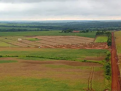 Agropecuária de MS conquista 1&ordm; lugar em índice de desenvolvimento