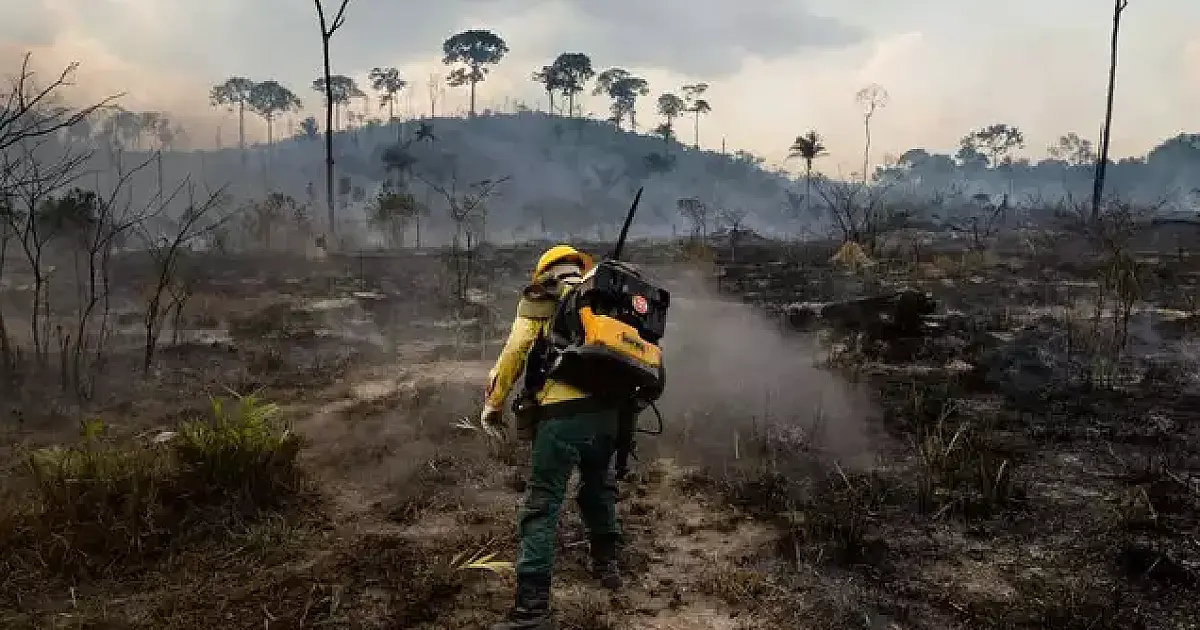 Ministério declara MS como estado de emergência ambiental durante oito meses