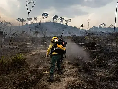 Ministério declara MS como estado de emergência ambiental durante oito meses