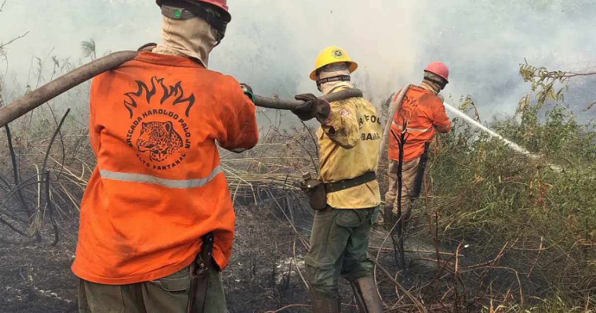 Pantanal é o bioma mais atingido por incêndios nos últimos 40 anos, diz relatório do MapBiomas