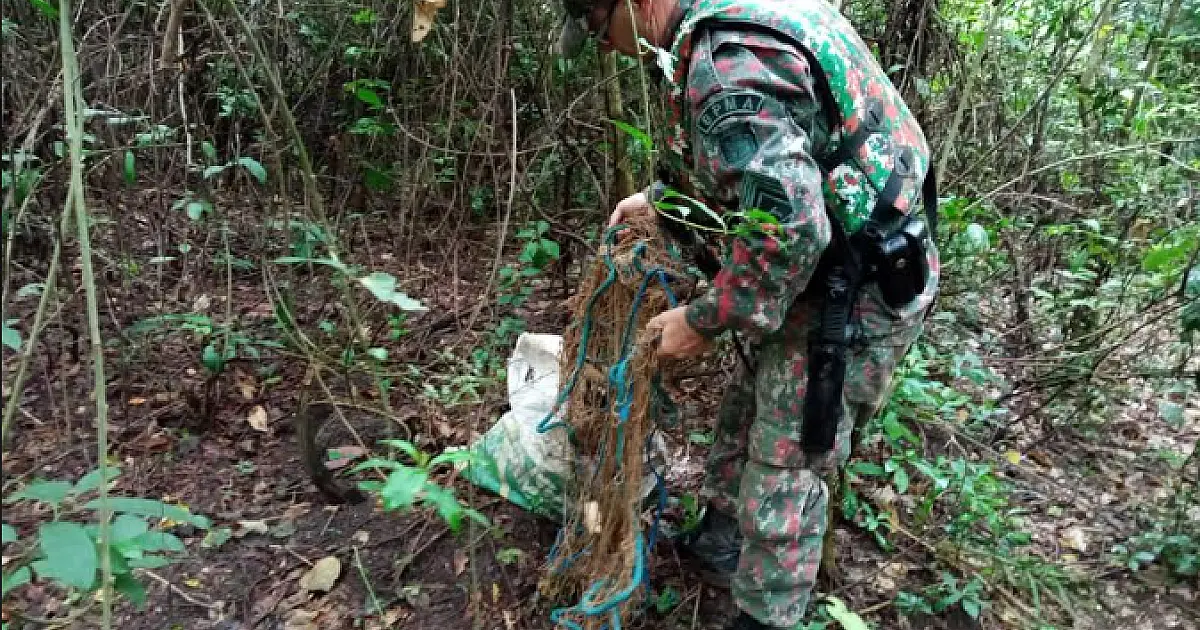 Petrechos ilegais são retirados do rio Miranda durante operação Carnaval da PMA
