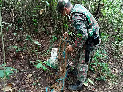 Petrechos ilegais são retirados do rio Miranda durante operação Carnaval da PMA