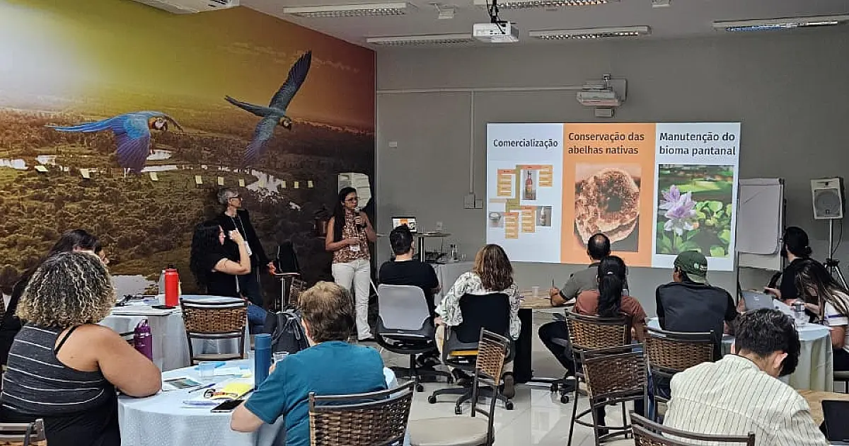 Evento de inovação ajuda empreendedores de Corumbá a tirarem ideias do papel