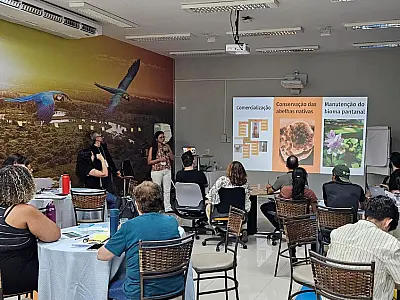 Evento de inovação ajuda empreendedores de Corumbá a tirarem ideias do papel