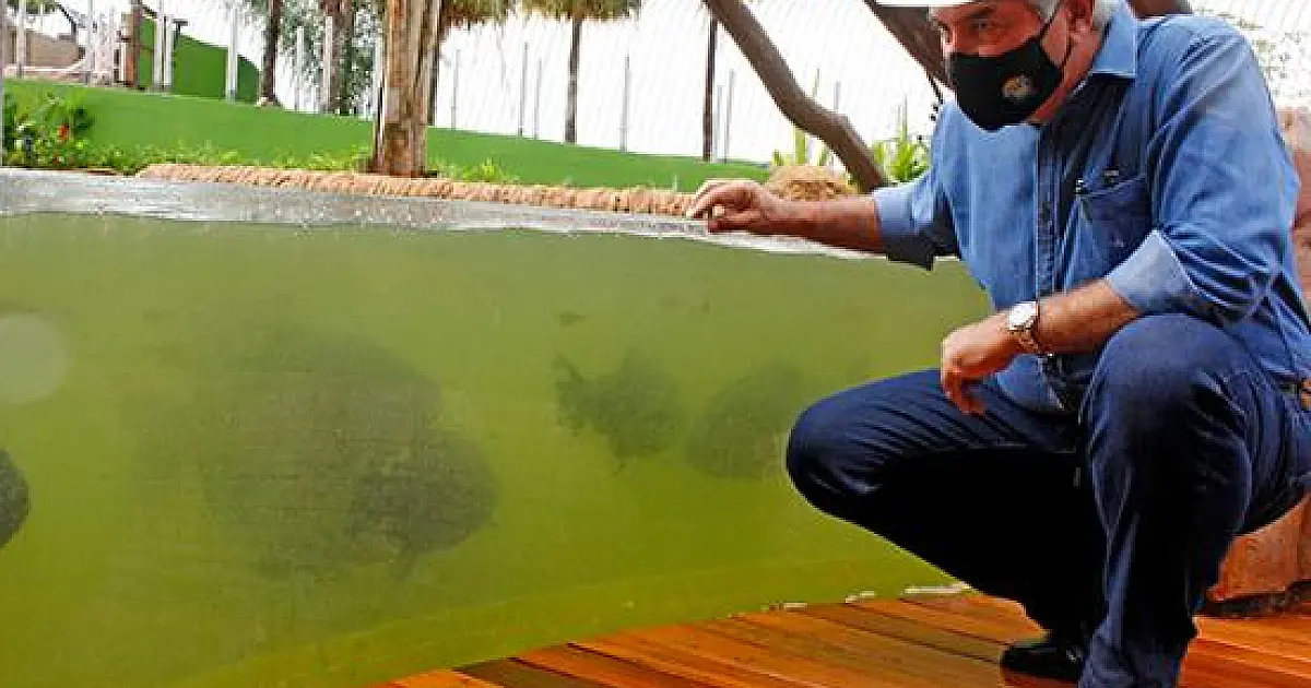 Tanques do Aquário do Pantanal começam a receber peixes