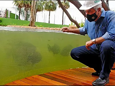 Tanques do Aquário do Pantanal começam a receber peixes