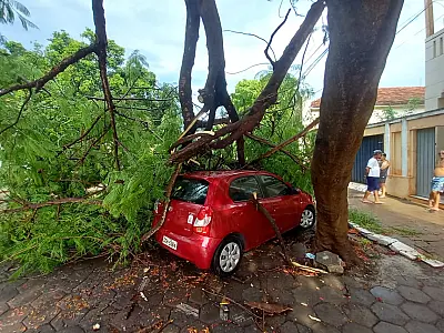 Chuva derruba árvores em Corumbá; uma delas sobre carro estacionado
