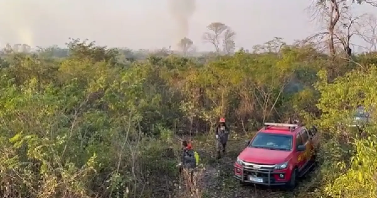 Operação mantém monitoramento de seis pontos do Pantanal