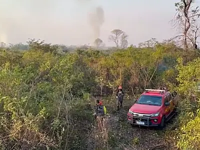 Operação mantém monitoramento de seis pontos do Pantanal