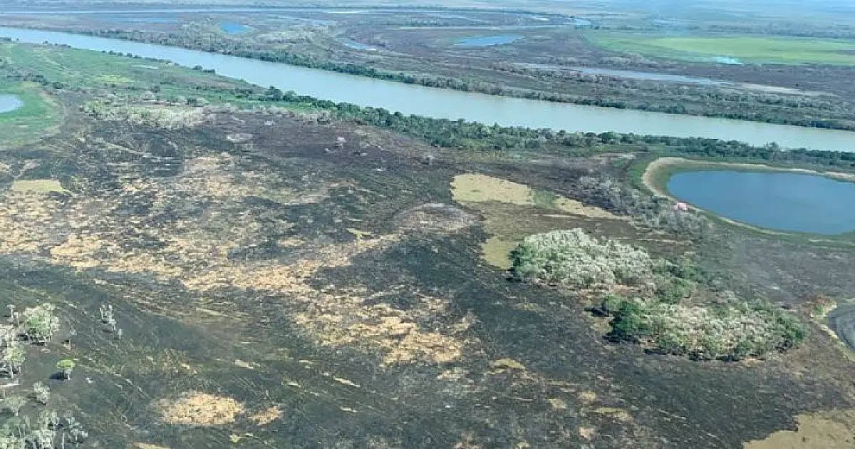 Ação para recuperar 20 mil hectares no Pantanal patina desde 2017 no TJ