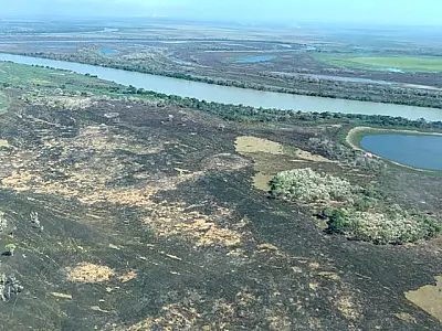 Ação para recuperar 20 mil hectares no Pantanal patina desde 2017 no TJ