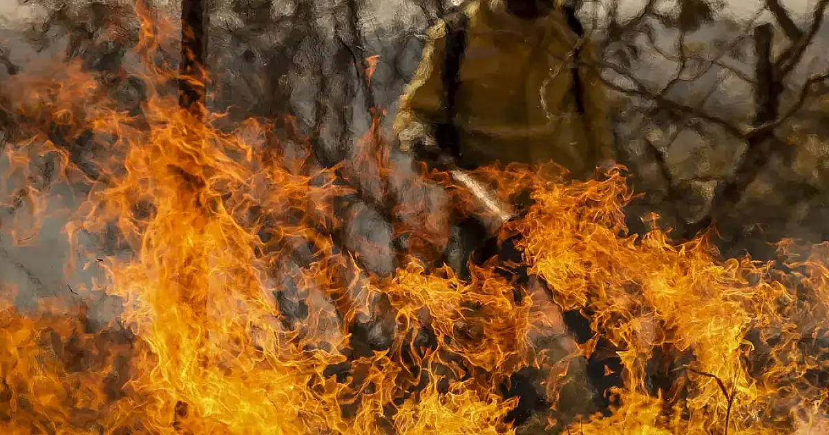 Entenda as linhas de investigação dos incêndios florestais no país