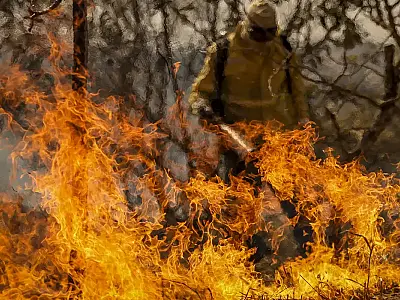 Entenda as linhas de investigação dos incêndios florestais no país