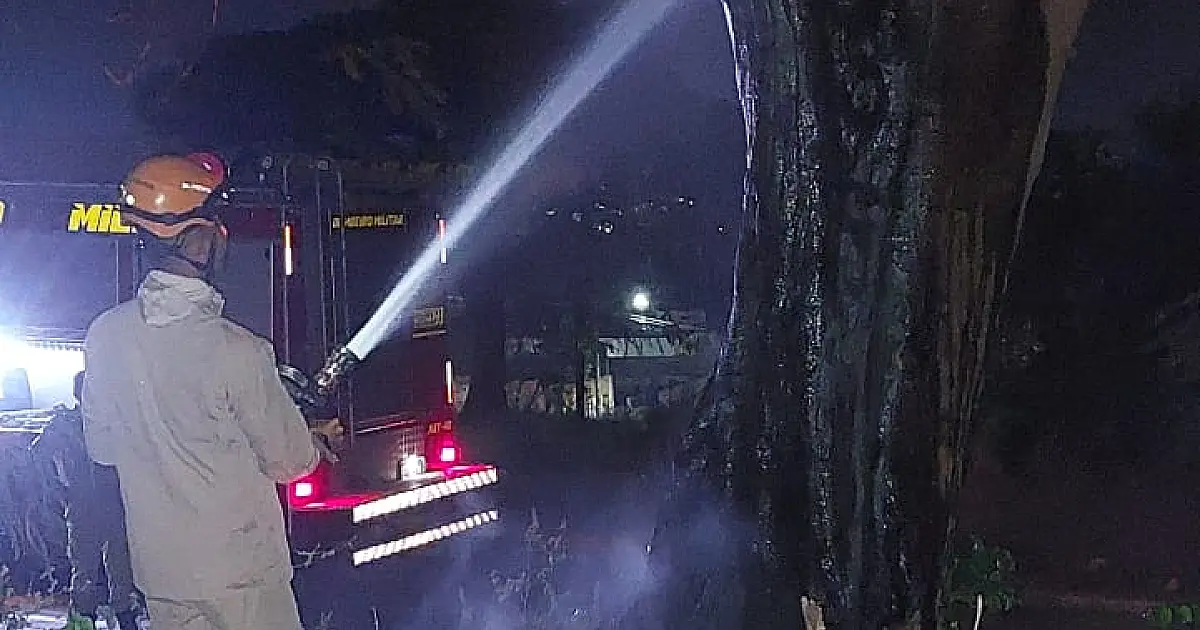 Incêndio queima parte de árvore da espécie Flamboyant no Popular Velha