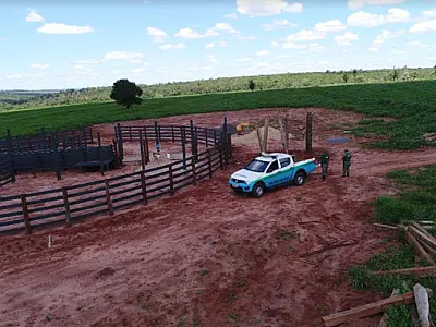 Mulher é multada em R$ 51 mil por crimes ambientais em estância de Eldorado