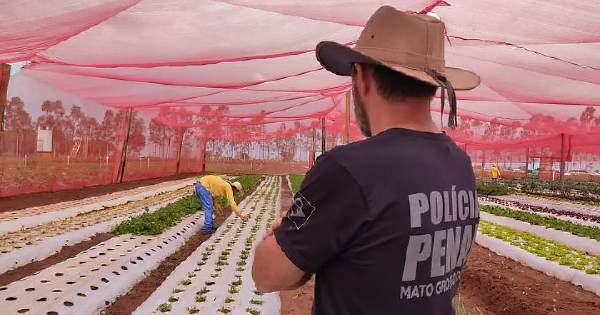 Horta de presídio é esperança de ressocialização e fonte de alimentação a pessoas carentes