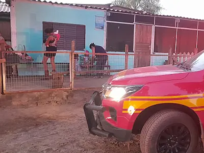 Criança com infecção no couro cabeludo é resgatada em fazenda na Estrada Parque
