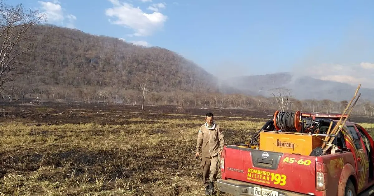 Incêndios florestais podem render punições administrativas, cível e criminal