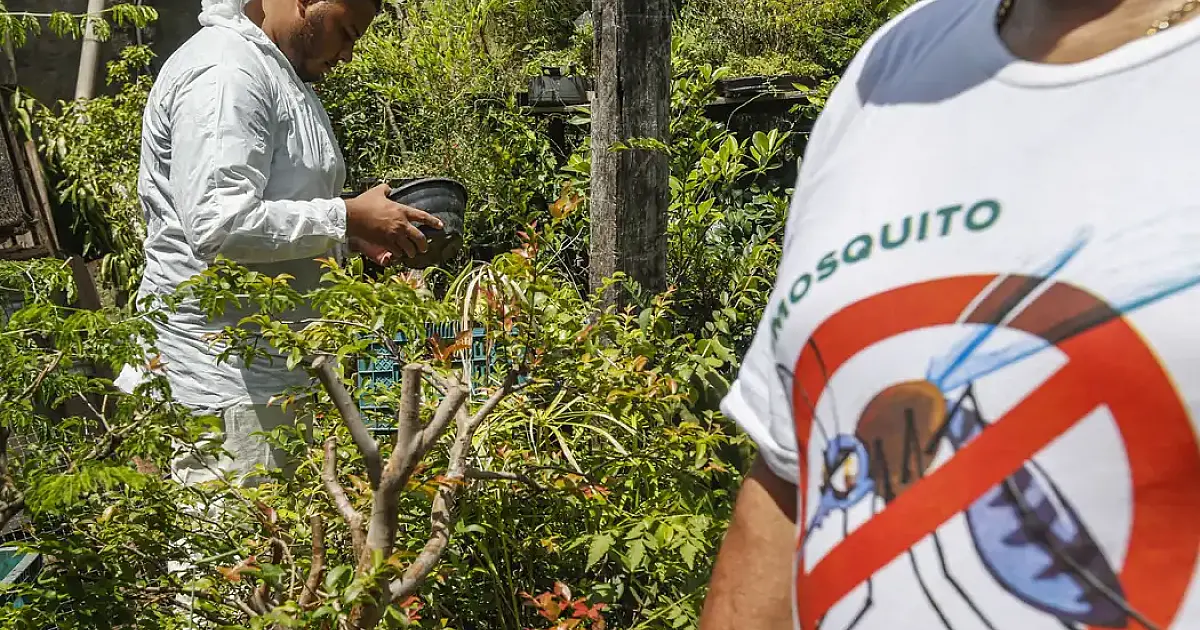 Dia D contra dengue promove ações de conscientização em todo o Brasil