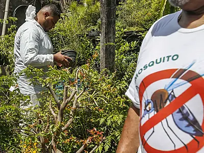 Dia D contra dengue promove ações de conscientização em todo o Brasil