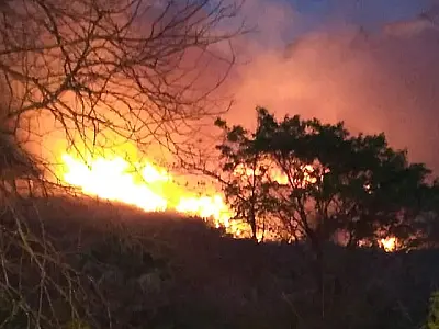 Incêndio consome vegetação próxima ao Mirante da Capivara