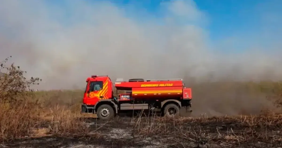 Pantanal já contabiliza quase 2,3 mil focos de incêndio em agosto
