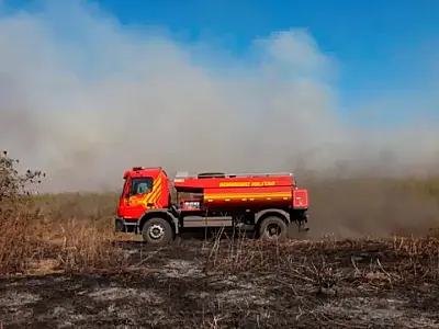 Pantanal já contabiliza quase 2,3 mil focos de incêndio em agosto