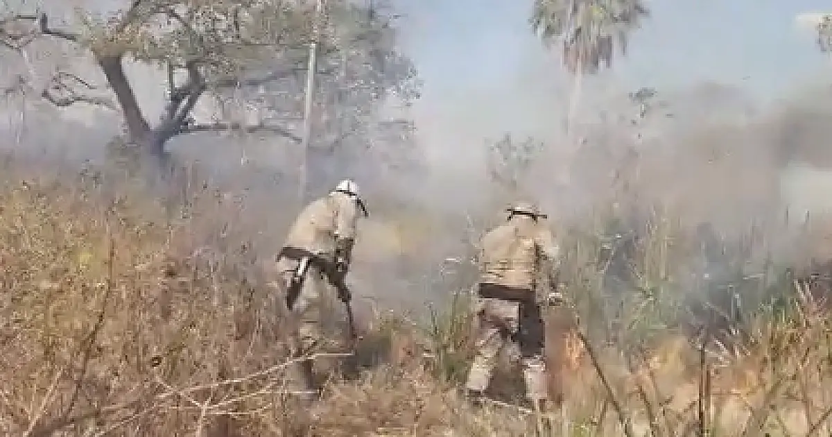 Câmara vai homenagear heróis que lutam para combater as chamas no Pantanal