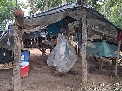 MPT-MS pede expropriação de fazenda em Corumbá por trabalho análogo à escravidão