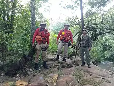 Bombeiros encerram busca por idosa desaparecida em trilha