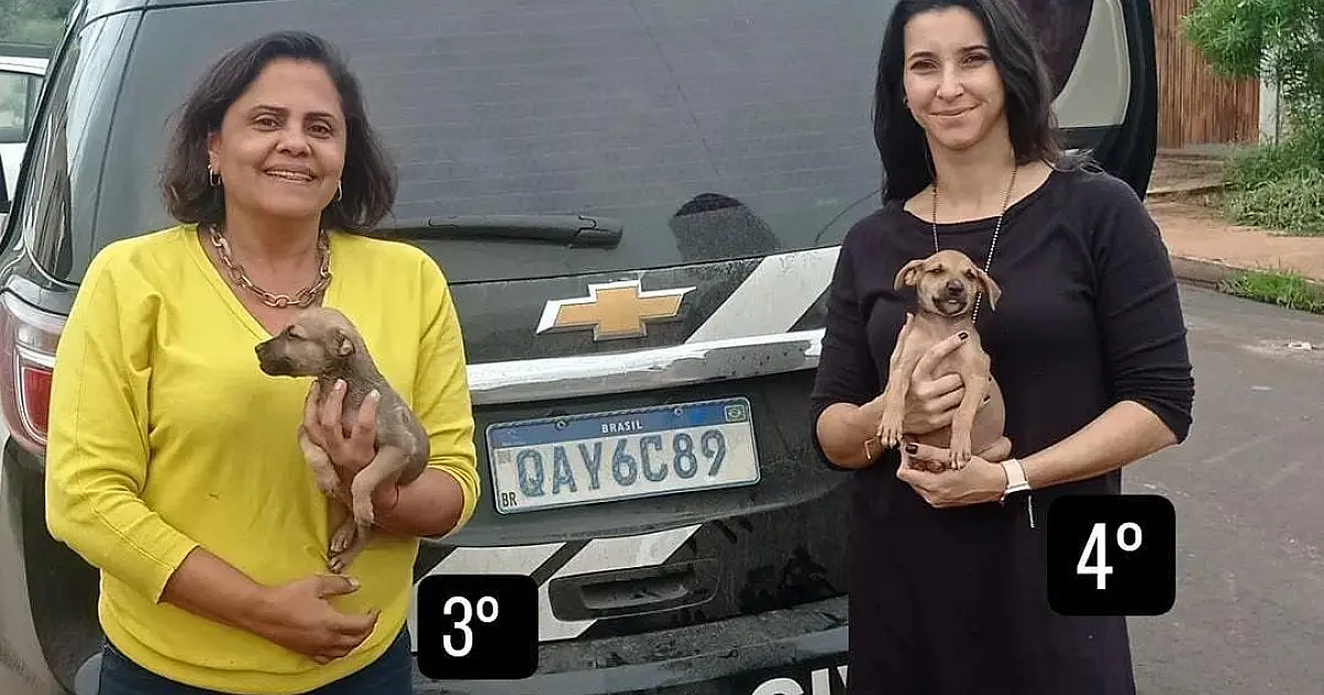 Seis animais foram resgatados e um homem foi conduzido por maus-tratos na Operação Abril Laranja