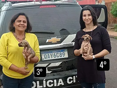 Seis animais foram resgatados e um homem foi conduzido por maus-tratos na Operação Abril Laranja