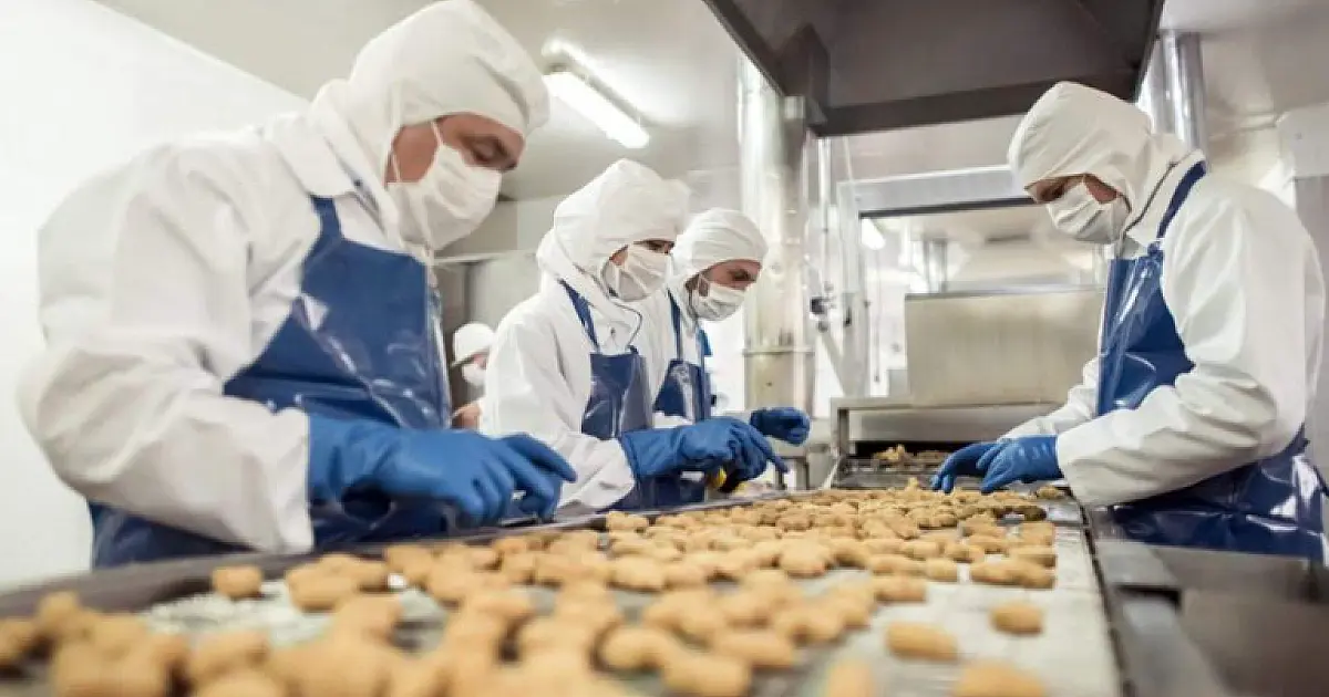 Produção industrial aumenta em 79% nas empresas de MS