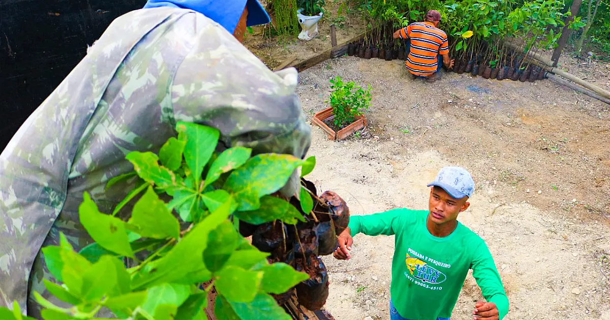 Entrega de mudas nativas marcam projeto de restauração na APA Baía Negra