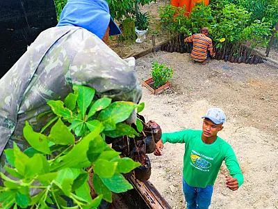 Entrega de mudas nativas marcam projeto de restauração na APA Baía Negra