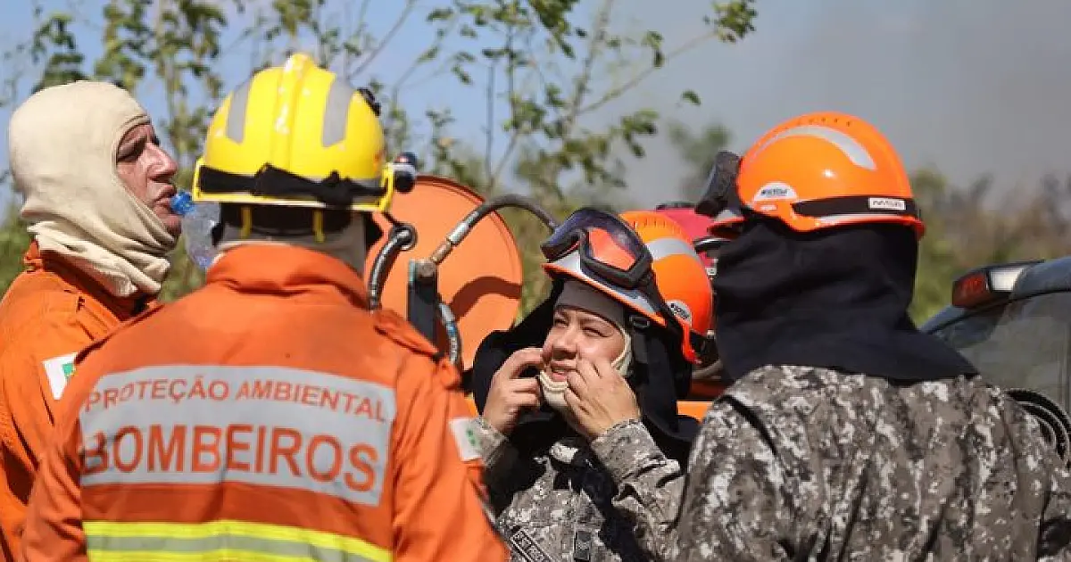 Boletim Diário: incêndios no Pantanal reduzem para nove