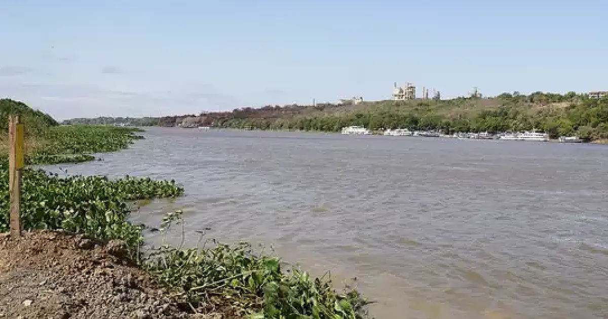 Nível do Rio Paraguai cai 2 cm por dia; ritmo indica recorde histórico de seca