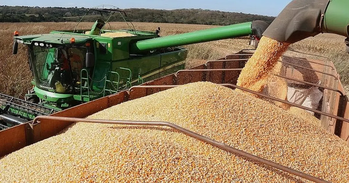 Produção de grãos pode chegar a 353,4 milhões de toneladas