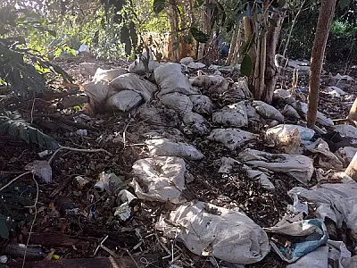PMA de Aquidauana autua campo-grandense em R$ 30 mil por crime ambiental