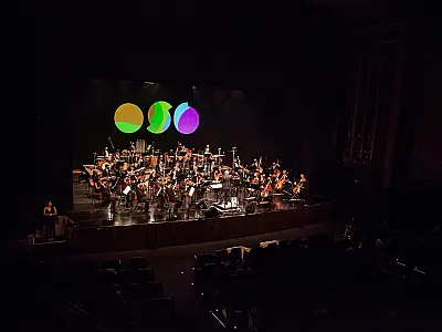 Orquestra Sinfônica Brasileira faz homenagem ao Pantanal em espetáculo sobre o Centro-Oeste