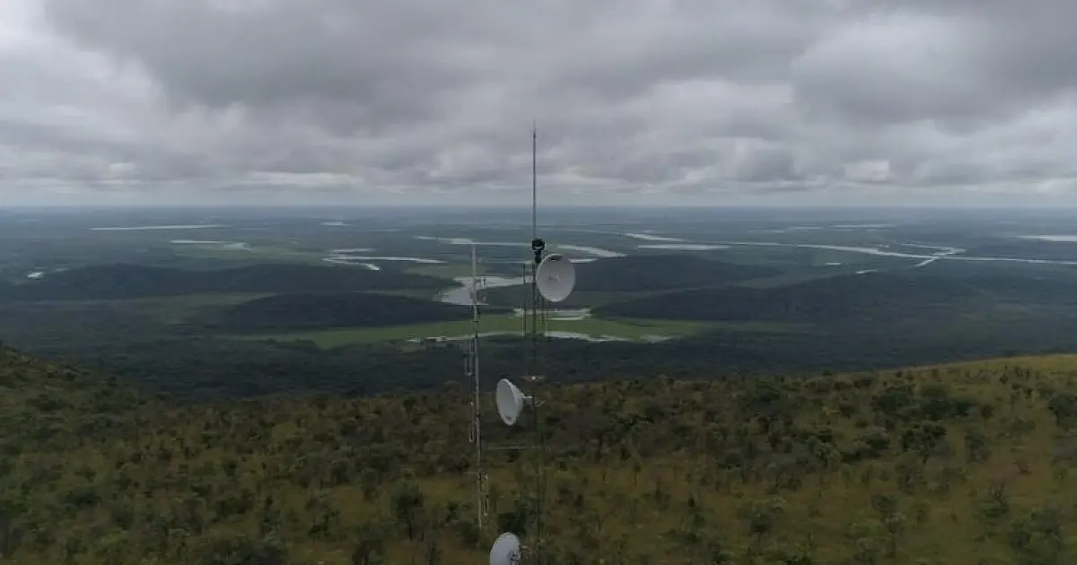 Abrace o Pantanal une comunidade local, Ongs e setor privado para proteger o bioma