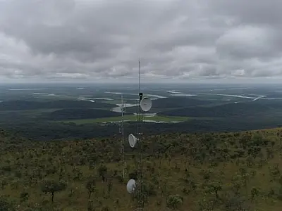 Abrace o Pantanal une comunidade local, Ongs e setor privado para proteger o bioma