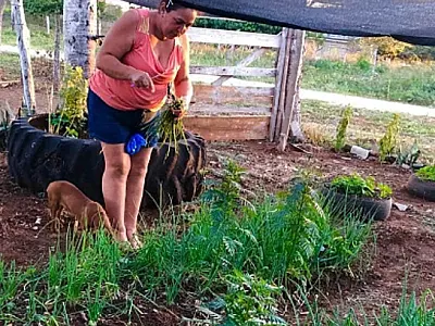 Dia do Agricultor: negócios que saem da terra e vão para a mesa