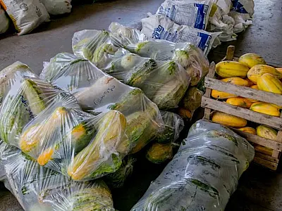 Prefeitura faz Chamada Pública para aquisição de alimentos pelo Programa Alimenta Brasil