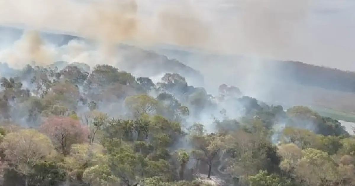 MPMS e Sejusp oficializam força-tarefa permanente contra crimes ambientais no Pantanal