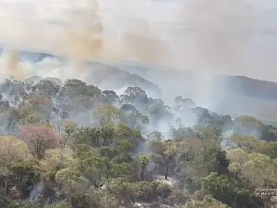MPMS e Sejusp oficializam força-tarefa permanente contra crimes ambientais no Pantanal