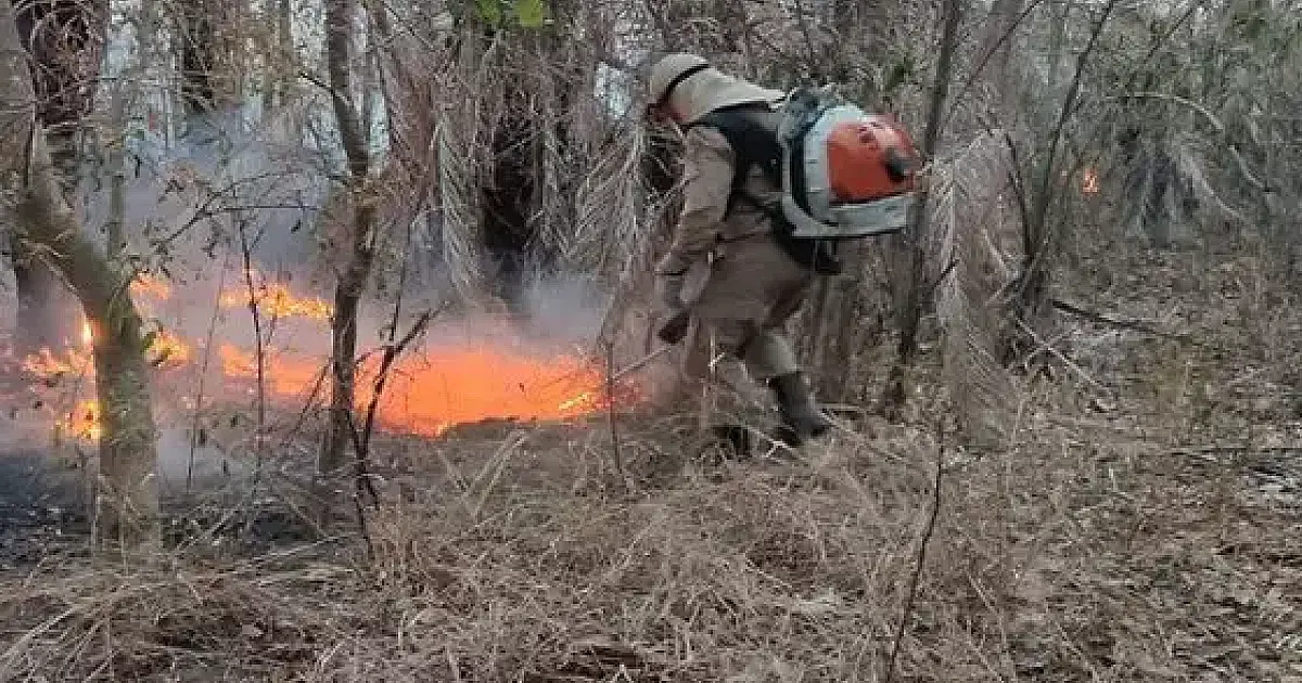 Plano contra fogo no Pantanal prevê R$ 22 milhões e inclui de contrato exclusivo de aeronave para PF